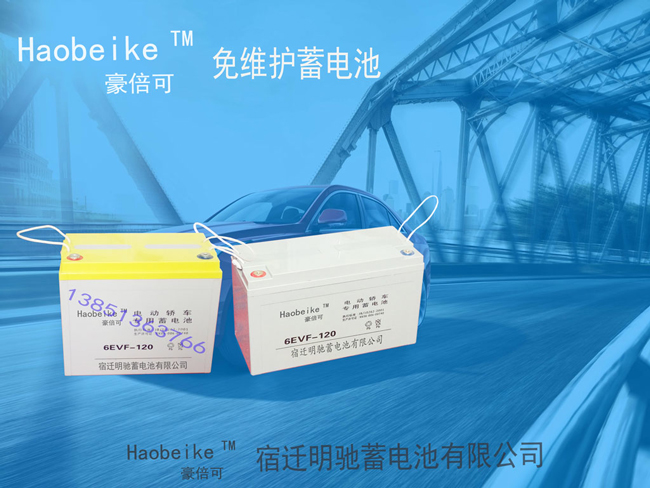 <b>6EVF120免維護(hù)蓄電池 Haobe</b>