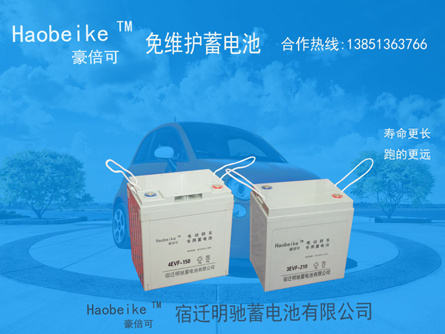<b>3EVF210免維護(hù)蓄電池廠家</b>